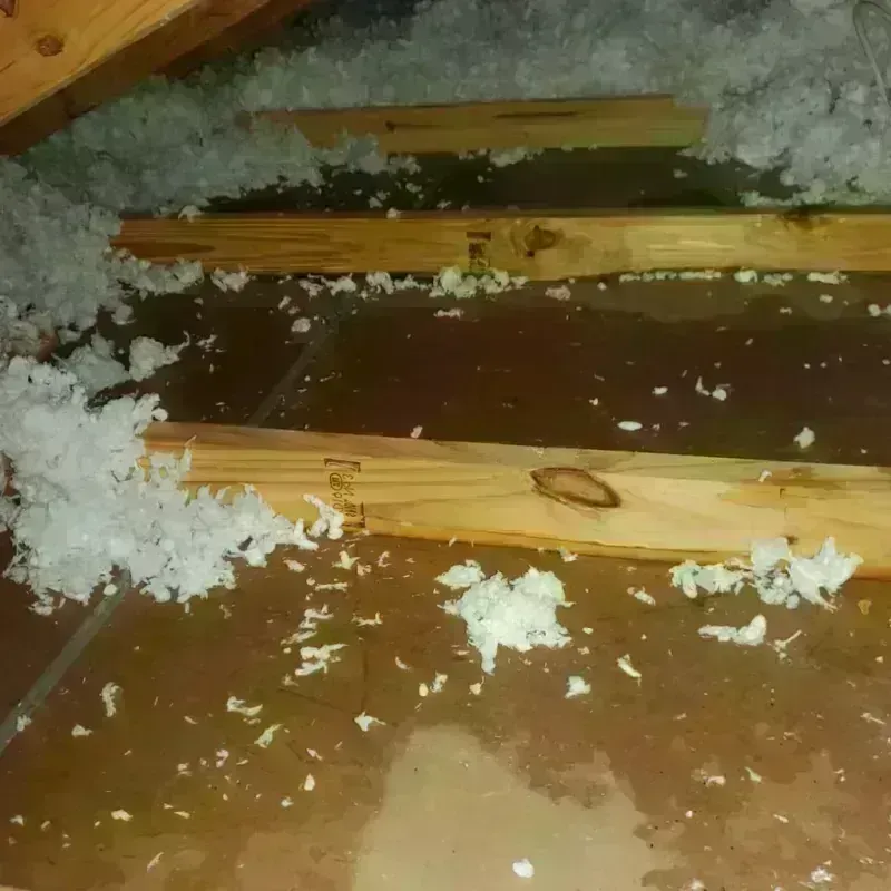 Attic Water Damage in Maili, HI